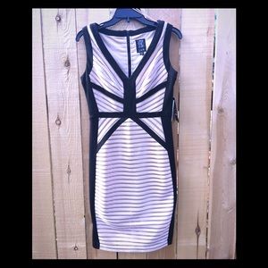 Lovely black and cream dress by Jaxx